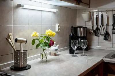 Kuhinja ili čajna kuhinja u objektu Apartments Darija