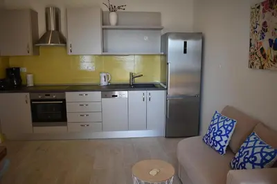 Kuhinja ili čajna kuhinja u objektu Villa Vineyard oaza