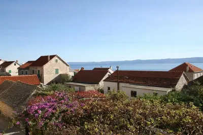 Priroda u blizini apartmana
