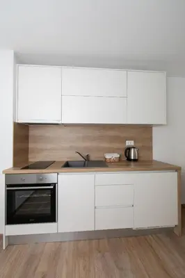 Kuhinja ili čajna kuhinja u objektu Apartments Villa Mili