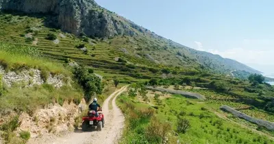 Priroda u blizini vikendica