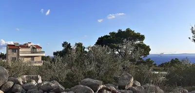 Priroda u blizini apartmana