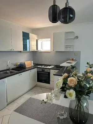 Kuhinja ili čajna kuhinja u objektu Providenca Apartments