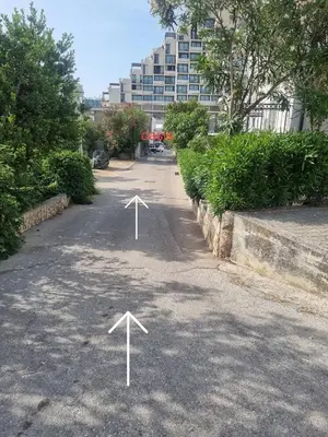 Okolica apartmana ili susjedstvo u blizini