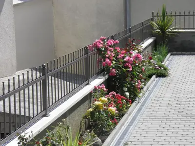 Vrt u objektu Apartments and rooms by the sea Brela, Makarska - 13118