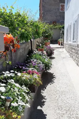 Vrt u objektu Apartments by the sea Postira, Brac - 12291