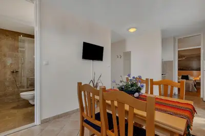 TV i/ili zabavni centar u objektu Apartments Vranjes