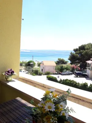 Priroda u blizini apartmana