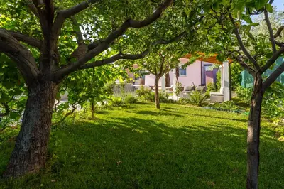 Vrt u objektu Villa Sweet Home Marija With Heated Pool