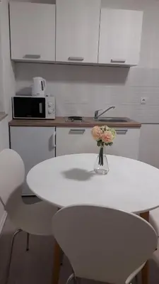 Kuhinja ili čajna kuhinja u objektu Apartment Sano