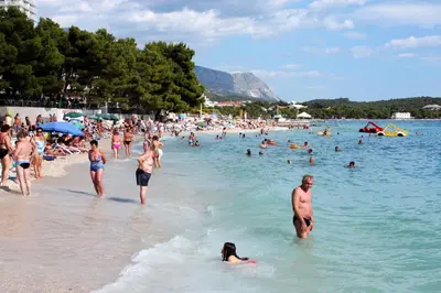 Priroda u blizini apartmana