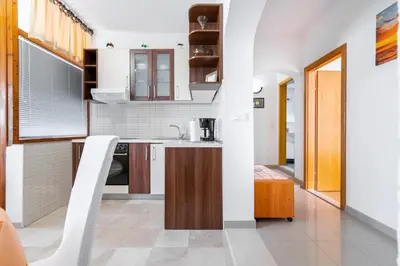 Kuhinja ili čajna kuhinja u objektu Apartmani Roko