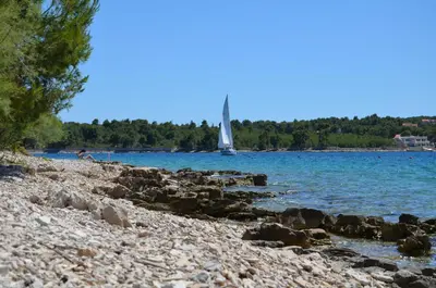 Priroda u blizini apartmana