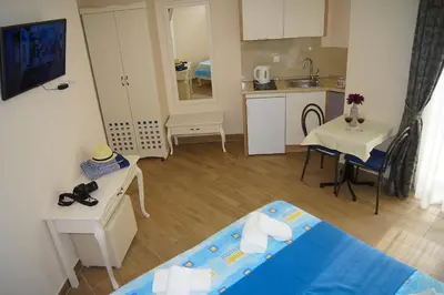 Kuhinja ili čajna kuhinja u objektu Apartmani Putnik