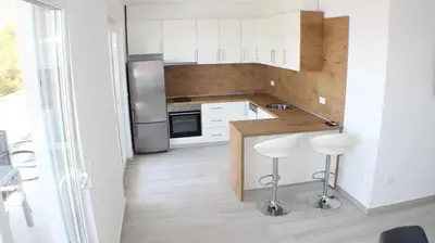 Kuhinja ili čajna kuhinja u objektu Apartments Danica