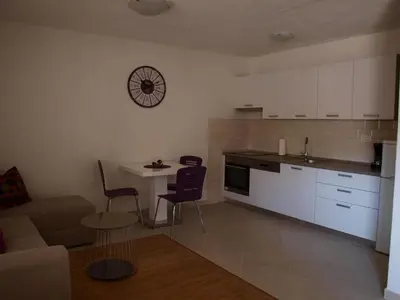 Kuhinja ili čajna kuhinja u objektu Apartment Lux Star