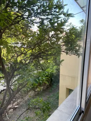 Balkon ili terasa u objektu apartmani Isabella - Ilda Radonic