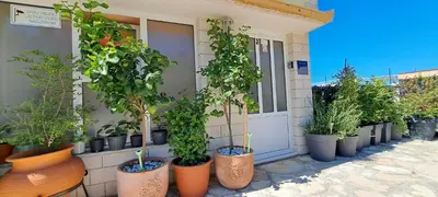 Vrt u objektu Apartments Villa Bella Vista Hvar