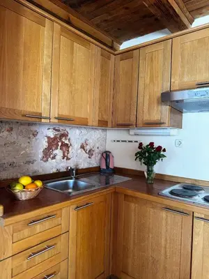 Kuhinja ili čajna kuhinja u objektu Ducina Apartments