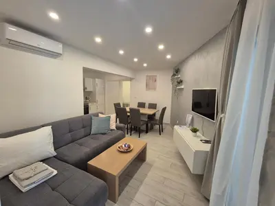 TV i/ili zabavni centar u objektu Apartment Rika