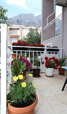 Pogled na planine ili pogled na planine iz apartmana