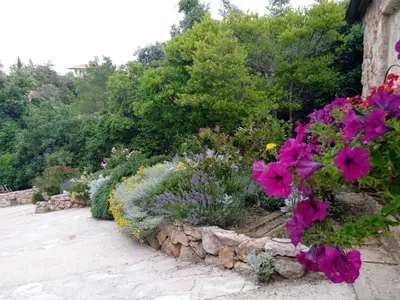 Vrt u objektu Lavender Hill Hvar Villa - pool, jacuzzi,sauna,BBQ