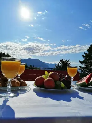 Priroda u blizini vikendica