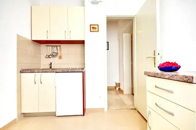 Kuhinja ili čajna kuhinja u objektu Apartment Danica