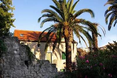 Vrt u objektu Villa Cindro House