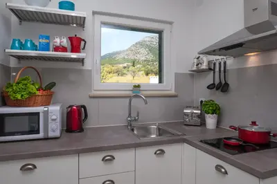 Kuhinja ili čajna kuhinja u objektu Apartments Sarbunal