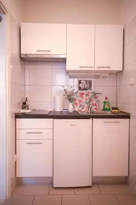 Kuhinja ili čajna kuhinja u objektu House Bilic