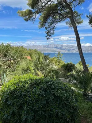 Priroda u blizini apartmana