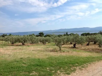 Priroda u blizini vikendica