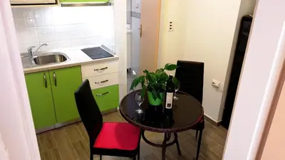 Kuhinja ili čajna kuhinja u objektu Apartments Desa Petric