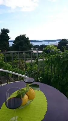 Priroda u blizini apartmana