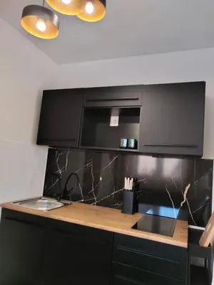 Kuhinja ili čajna kuhinja u objektu B&B Buzolic