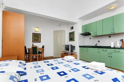 Kuhinja ili čajna kuhinja u objektu Villa Vranic Apartments