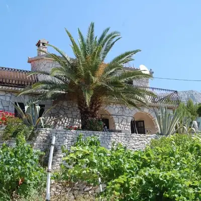 Seaside holiday house Ivan Dolac