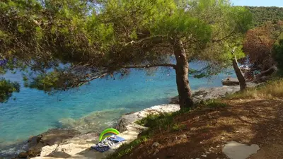Tlocrt objekta Apartments by the sea Cove Gornja Krusica, Solta - 14696