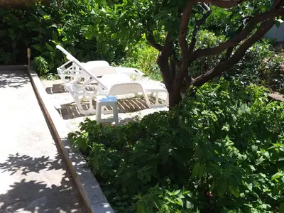 Vrt u objektu Apartment Robo