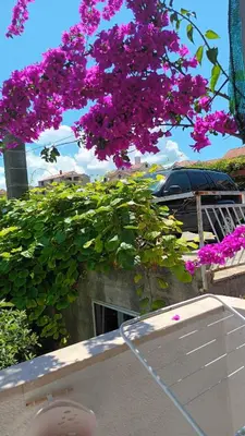 Zgrada u kojoj se nalazi apartman