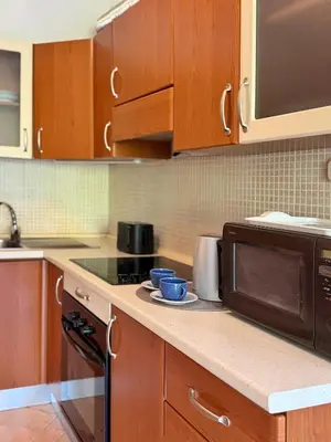 Kuhinja ili čajna kuhinja u objektu Mario Apartment