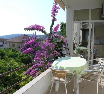 Tlocrt objekta Apartments by the sea Jelsa, Hvar - 14754