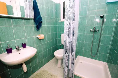 Kupaonica u objektu Duce Apartment Mendula