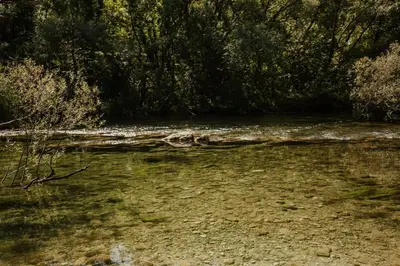 Priroda u blizini planinskih kuća