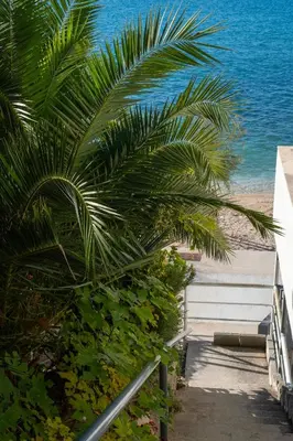 Priroda u blizini apartmana