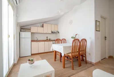 Kuhinja ili čajna kuhinja u objektu Apartments Petranic