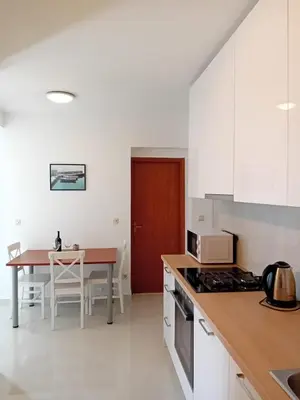 Kuhinja ili čajna kuhinja u objektu Guesthouse Duce (4174)