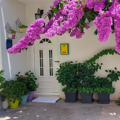 Guest House Mediterranean