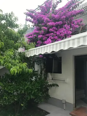 Vrt u objektu Sara Apartments Baska Voda